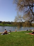 Hampstead Heath